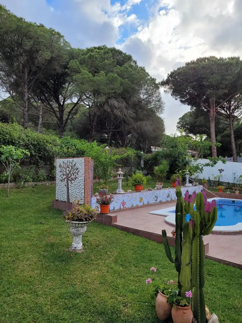 Finca rústica de alquiler en Calle Luis Braille, 38, Barbate ciudad