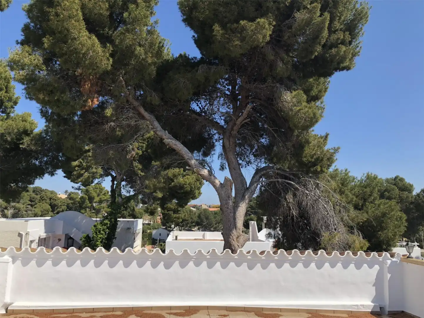 Flat for rent in Camino del Paellero, 4, Pinar del Advocat - Cometa Exterior view of Flat for rent in Moraira with Air Conditioner, Heating and Terrace