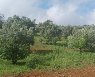 Finca rústica en venda en Alfarnatejo