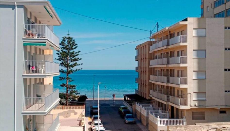 Apartament de lloguer a Passeig Joan Miró, 13, Bellreguard, Valencia - imatge 1 Foto 1 de Apartament de lloguer a Passeig Joan Miró, 13, Bellreguard, Valencia