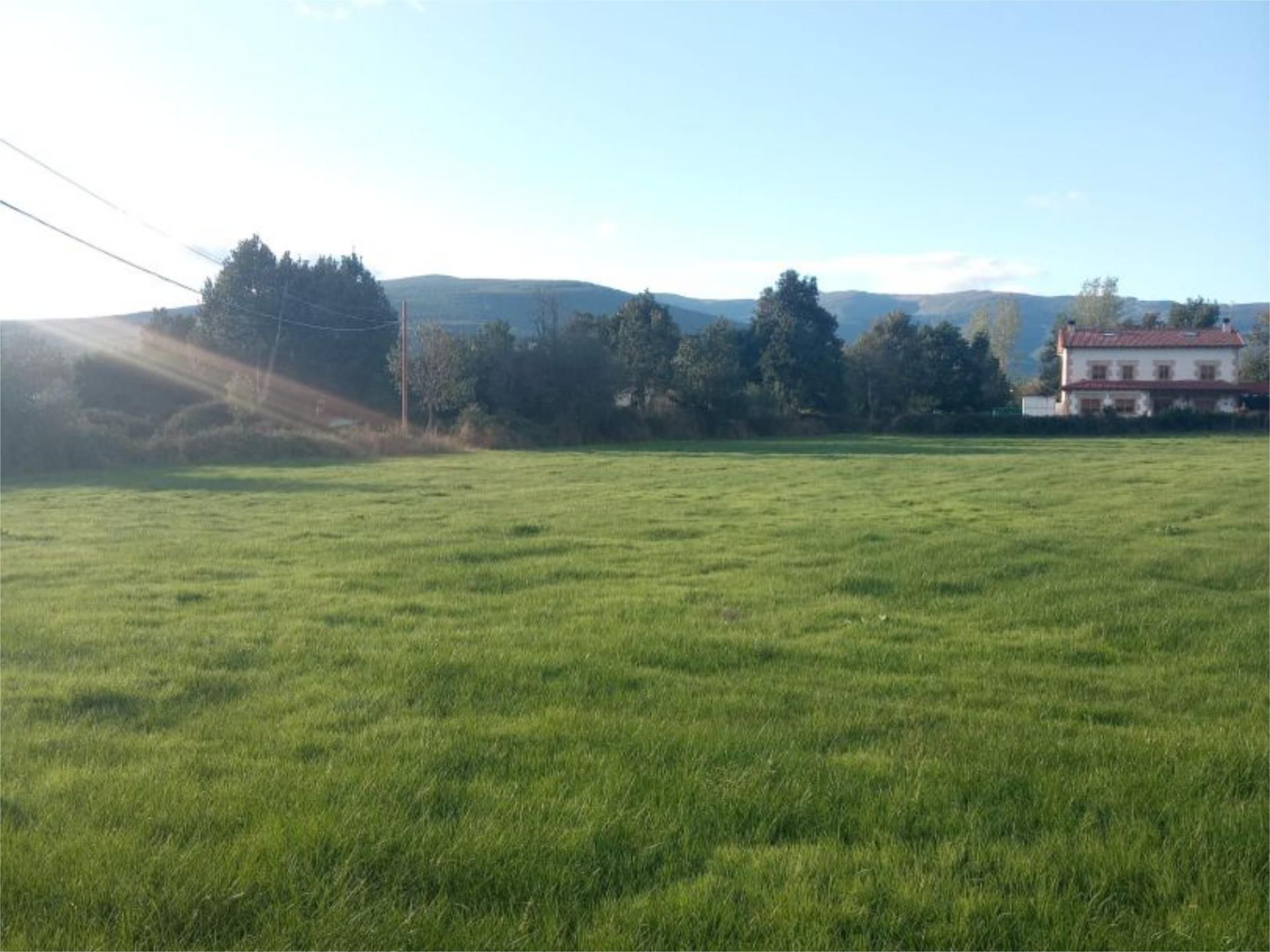 Land for sale in Sotillo del Rincón