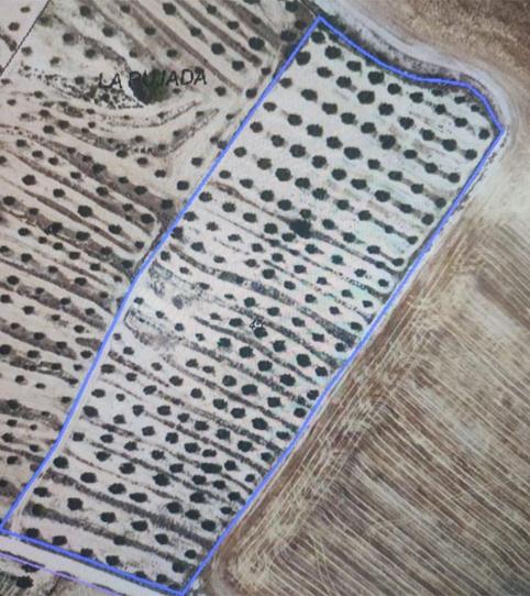 Photo 2 of Non-constructible Land for sale in E-90, 161, Les Borges Blanques, Lleida