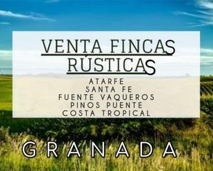 Non-constructible Land for sale in Santa Fe