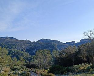 Vista exterior de Terreny en venda en Tivissa