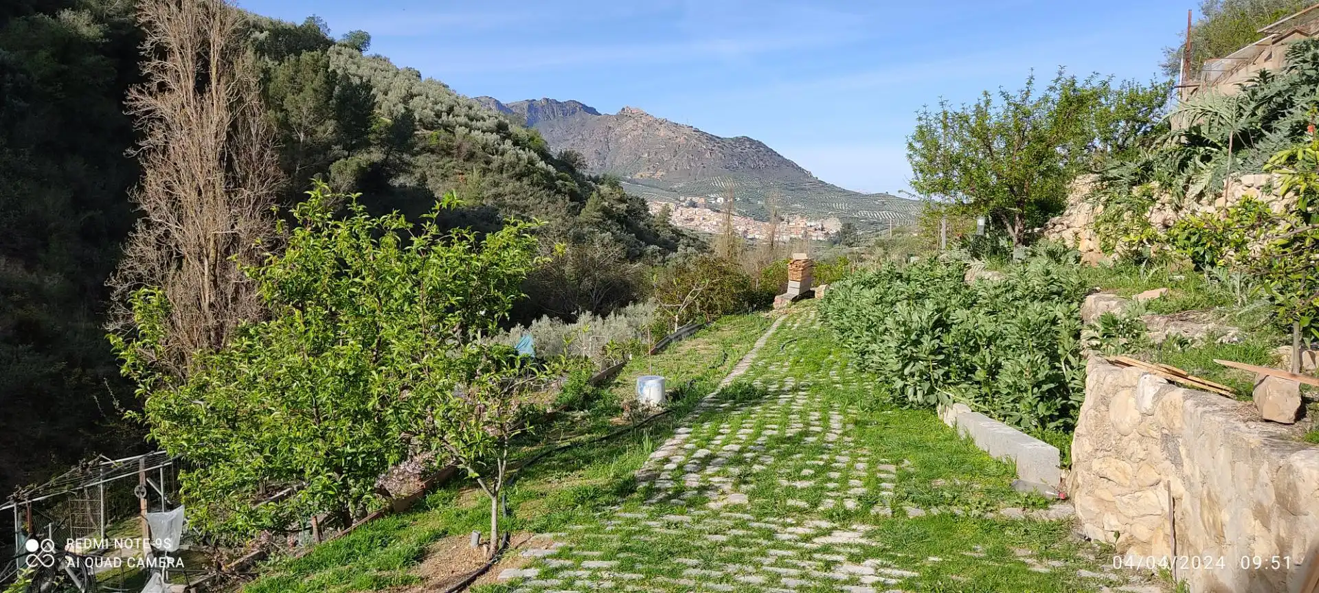 Land for sale in heredamiento santo, 3, Quesada Garden of Land for sale in Quesada with Swimming Pool