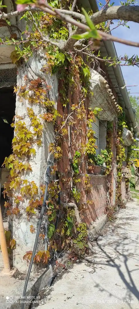 Land for sale in heredamiento santo, 3, Quesada Balcony of Land for sale in Quesada with Swimming Pool