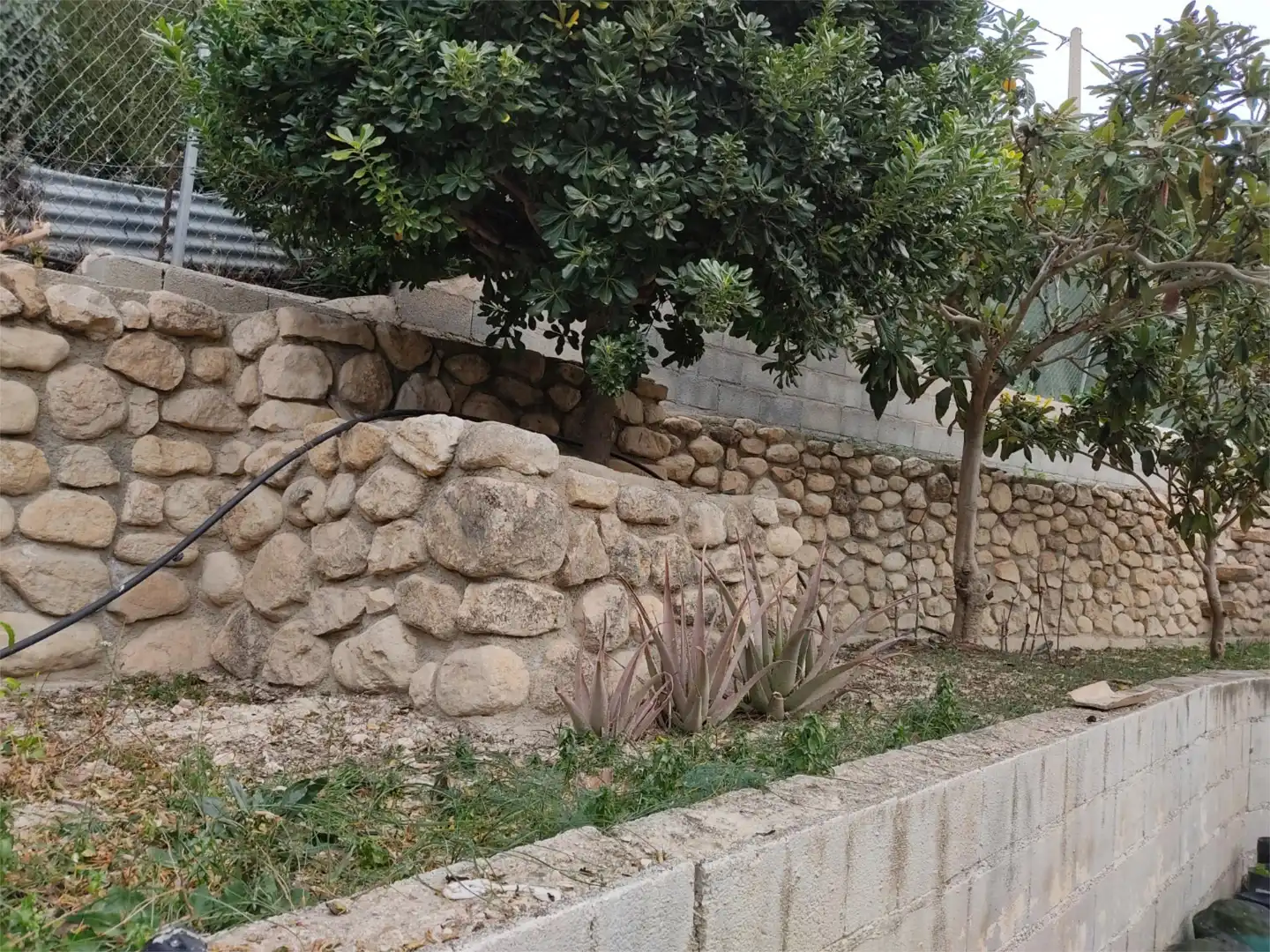Land for sale in heredamiento santo, 3, Quesada Garden of Land for sale in Quesada with Swimming Pool