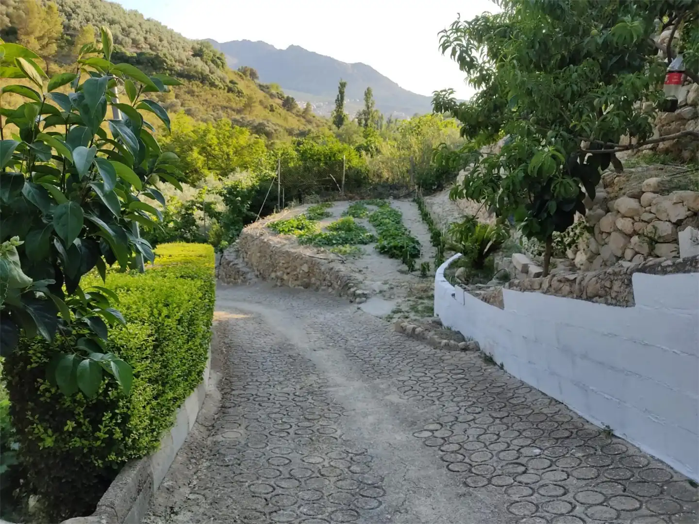 Land for sale in heredamiento santo, 3, Quesada Exterior view of Land for sale in Quesada with Swimming Pool