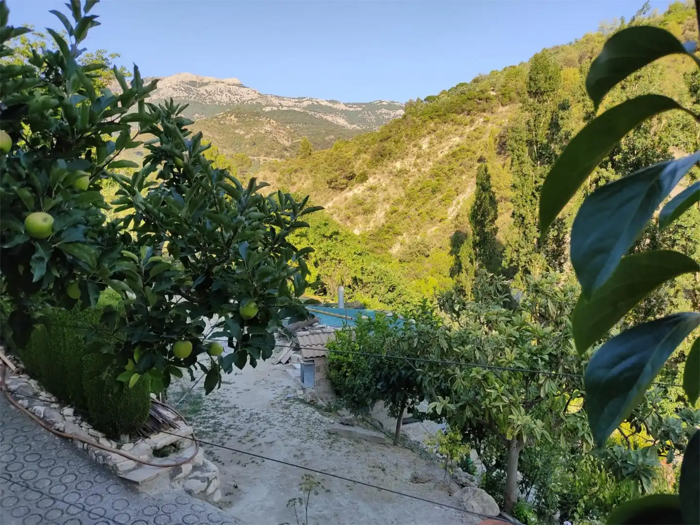 Land for sale in heredamiento santo, 3, Quesada Garden of Land for sale in Quesada with Swimming Pool