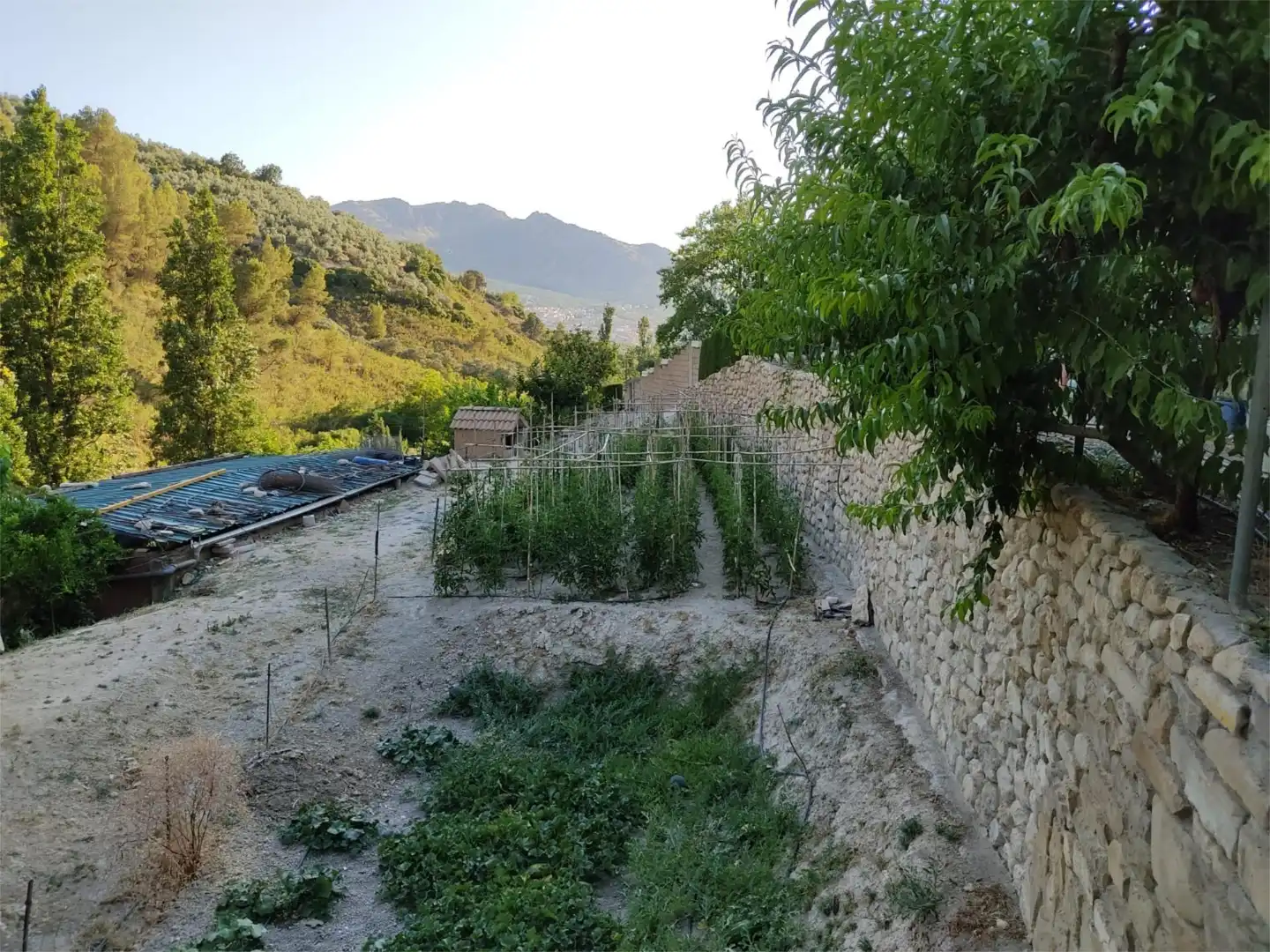 Land for sale in heredamiento santo, 3, Quesada Garden of Land for sale in Quesada with Swimming Pool