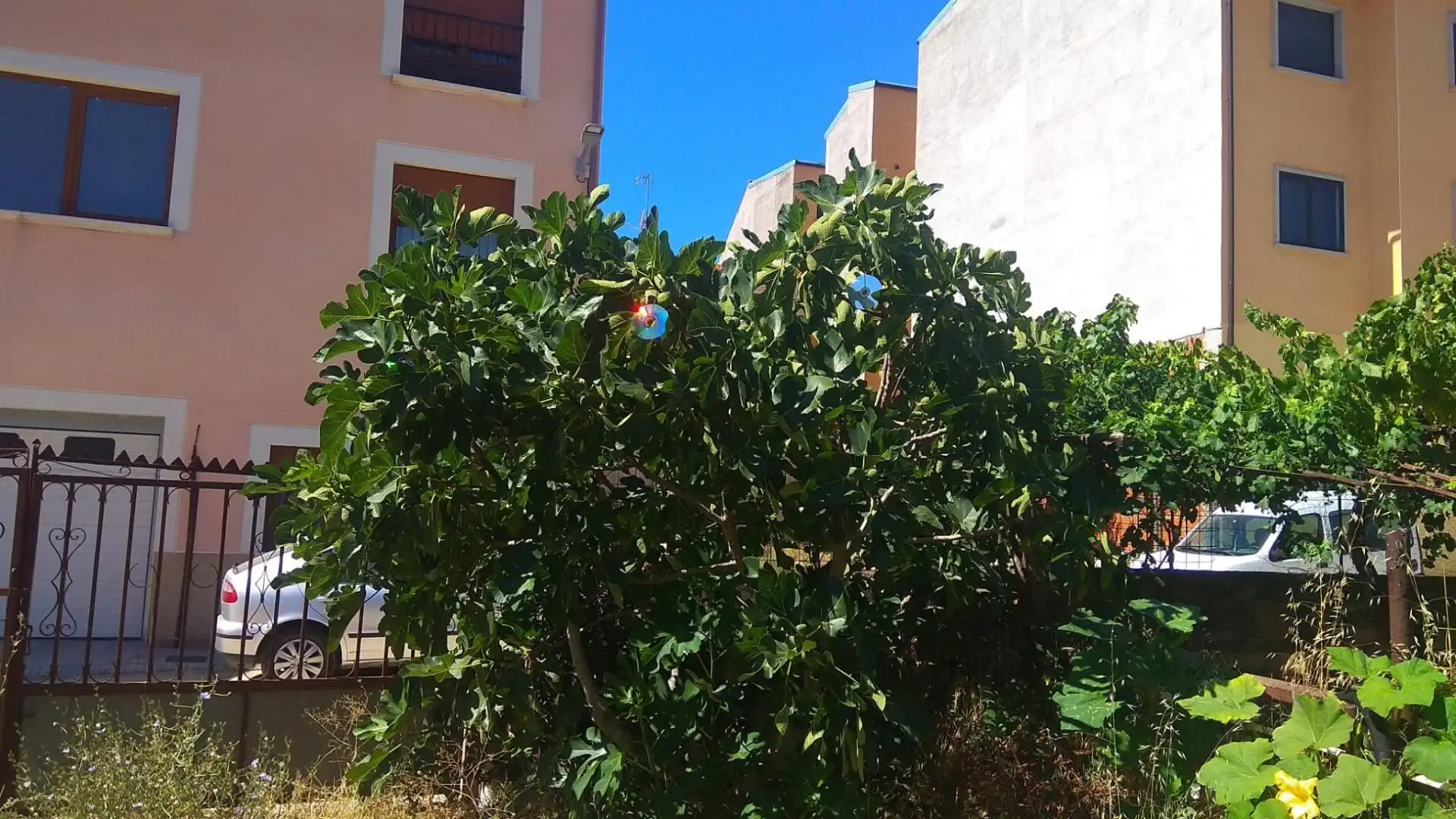 Constructible Land for sale in Calle Fernando II, 11, Ciudad Rodrigo Constructible Land for sale in Ciudad Rodrigo