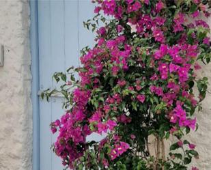 Jardí de Casa adosada en venda en Marbella