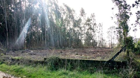 Non-constructible Land for sale in Estrada de Castrelo, 97, Cambados, Pontevedra - image 2 Photo 2 of Non-constructible Land for sale in Estrada de Castrelo, 97, Cambados, Pontevedra