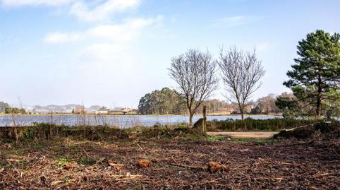 Non-constructible Land for sale in Estrada de Castrelo, 97, Cambados, Pontevedra - image 5 Photo 5 of Non-constructible Land for sale in Estrada de Castrelo, 97, Cambados, Pontevedra