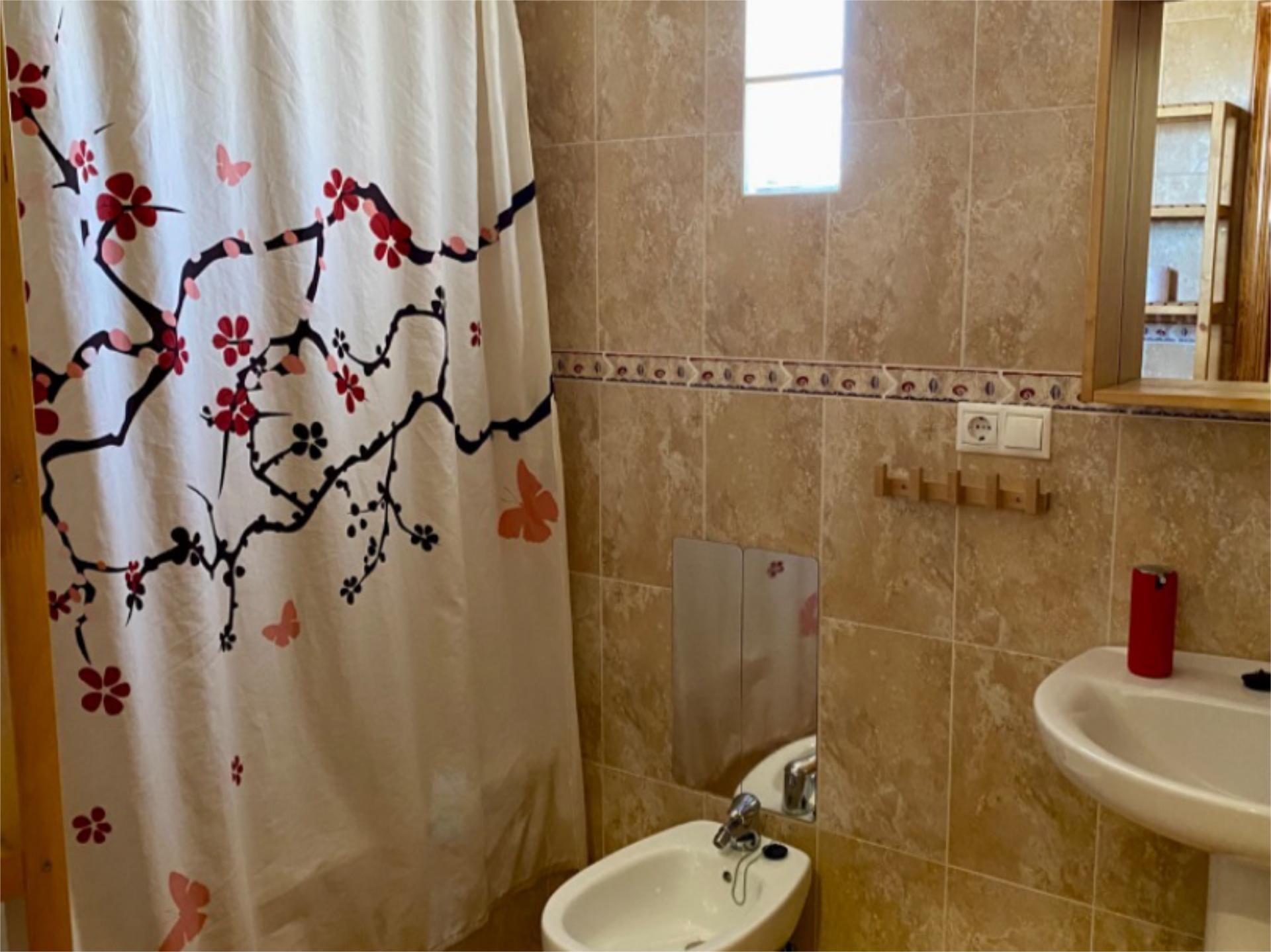 Bany de Pis en venda en El Pinós / Pinoso amb Aire condicionat, Terrassa i Moblat
