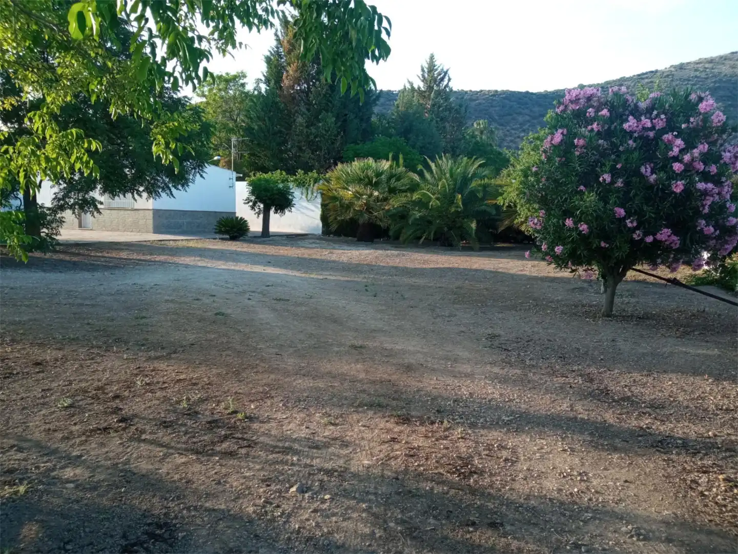 Casa o xalet en venda en Lucena amb Aire condicionat, Jardí privat i Terrassa