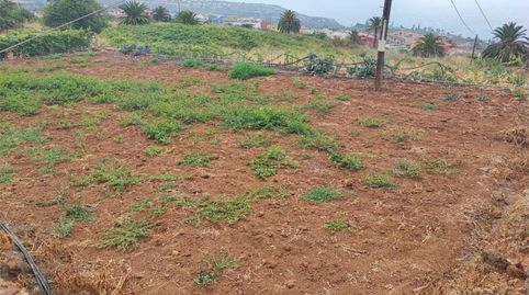 Foto 2 de Terreno en venta en Carretera General, 130a, La Victoria de Acentejo, Santa Cruz de Tenerife