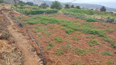 Foto 3 de Terreno en venta en Carretera General, 130a, La Victoria de Acentejo, Santa Cruz de Tenerife