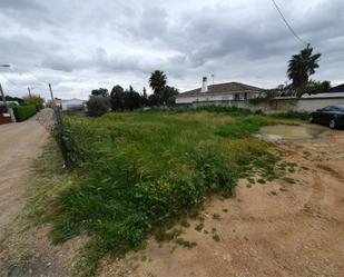 Non-constructible Land for sale in La Carlota