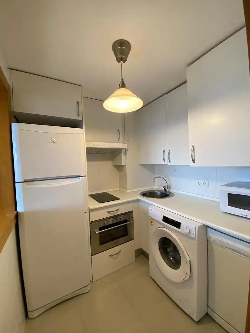 Cocina de Piso de alquiler en  Madrid Capital con Aire acondicionado y Piscina