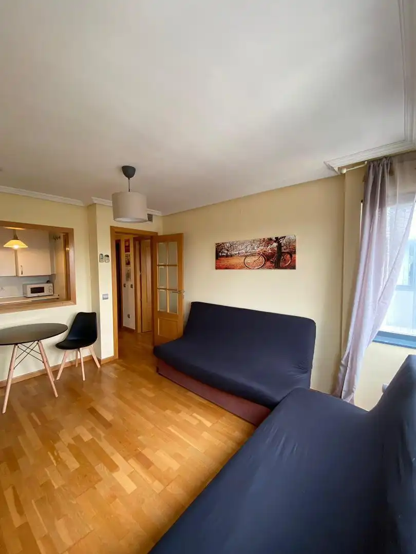 Sala de estar de Piso de alquiler en  Madrid Capital con Aire acondicionado y Piscina