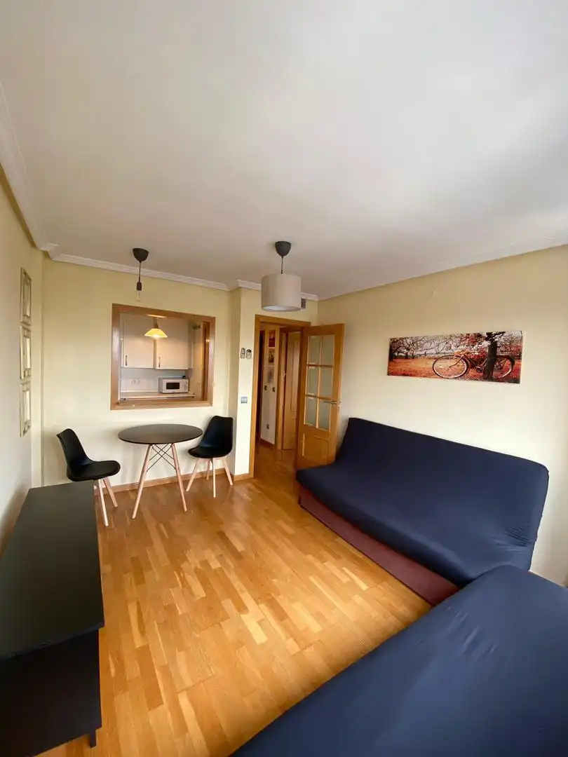 Sala de estar de Piso de alquiler en  Madrid Capital con Aire acondicionado y Piscina
