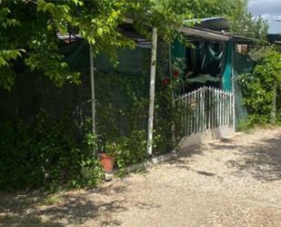 Jardí de Casa o xalet en venda en Daganzo de Arriba amb Terrassa