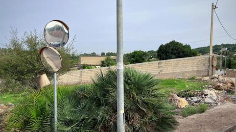 Urbanizable en venta en Urbanitzacio San Cristóbal, 779, Alberic, Valencia - imagen 3 Foto 3 de Urbanizable en venta en Urbanitzacio San Cristóbal, 779, Alberic, Valencia