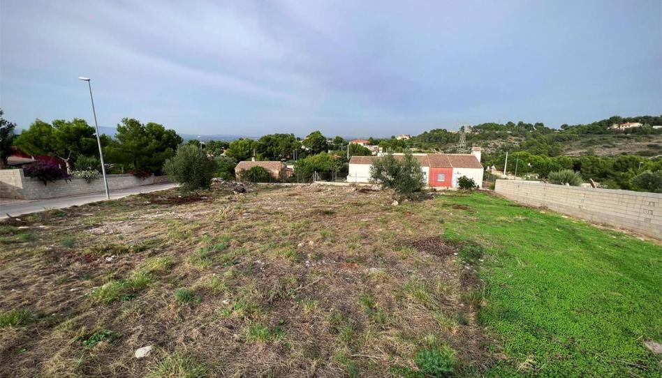 Urbanizable en venta en Urbanitzacio San Cristóbal, 779, Alberic, Valencia - imagen 1 Foto 1 de Urbanizable en venta en Urbanitzacio San Cristóbal, 779, Alberic, Valencia