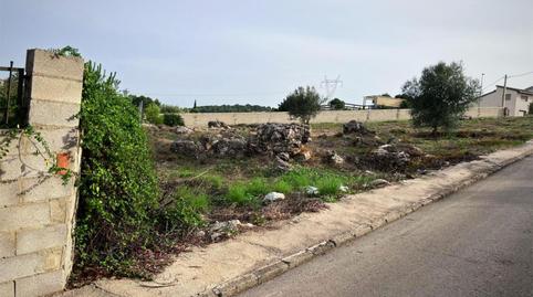 Urbanizable en venta en Urbanitzacio San Cristóbal, 779, Alberic, Valencia - imagen 5 Foto 5 de Urbanizable en venta en Urbanitzacio San Cristóbal, 779, Alberic, Valencia