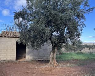 Finca rústica en venda en Horta de Sant Joan