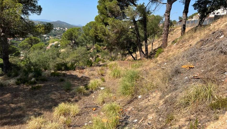 Finca rústica en venda a Carrer Estels, 12, Lloret Residencial - Montlloret, Girona - imatge 1 Foto 1 de Finca rústica en venda a Carrer Estels, 12, Lloret Residencial - Montlloret, Girona