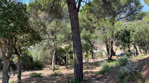 Finca rústica en venda a Carrer Estels, 12, Lloret Residencial - Montlloret, Girona - imatge 2 Foto 2 de Finca rústica en venda a Carrer Estels, 12, Lloret Residencial - Montlloret, Girona