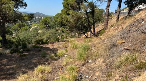 Finca rústica en venda a Carrer Estels, 12, Lloret Residencial - Montlloret, Girona - imatge 3 Foto 3 de Finca rústica en venda a Carrer Estels, 12, Lloret Residencial - Montlloret, Girona