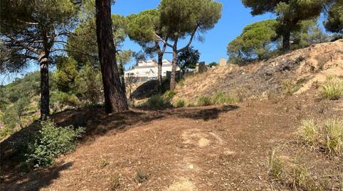 Finca rústica en venda a Carrer Estels, 12, Lloret Residencial - Montlloret, Girona - imatge 5 Foto 5 de Finca rústica en venda a Carrer Estels, 12, Lloret Residencial - Montlloret, Girona