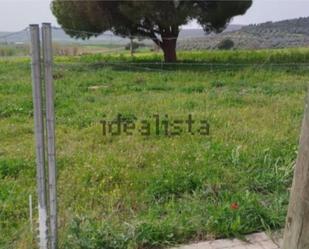 Constructible Land for sale in Alcolea de Calatrava