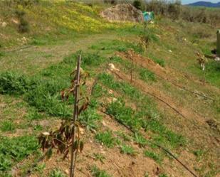 No Urbanitzable en venda en Álora