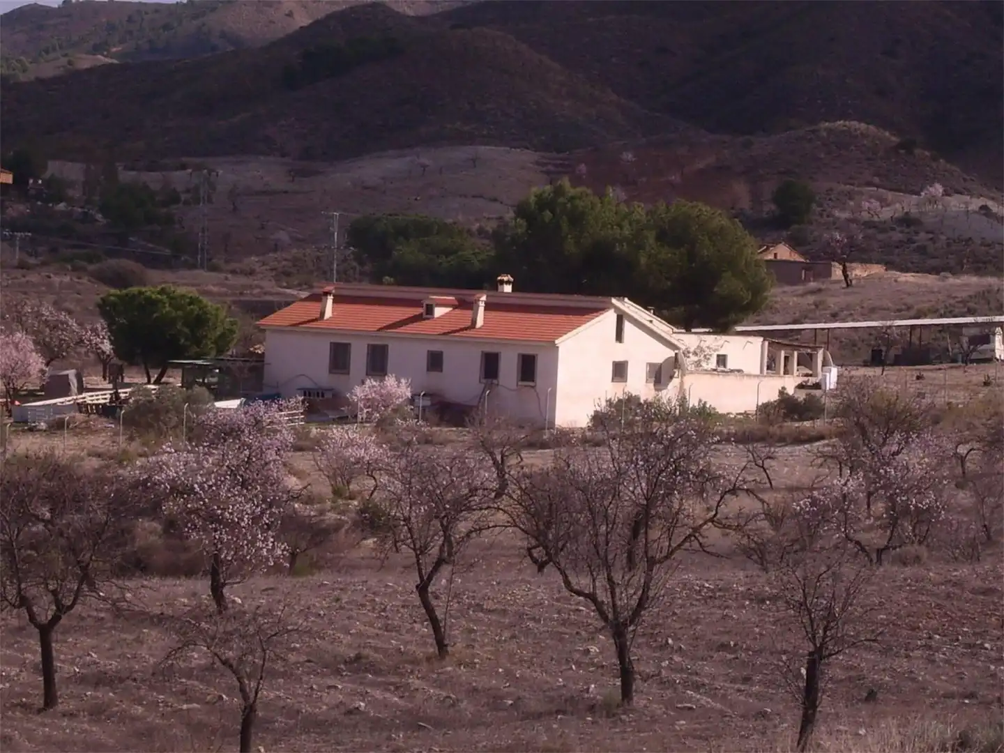Finca rústica en venta en C-3211, 77, Purias Vista exterior de Finca rústica en venta en Lorca