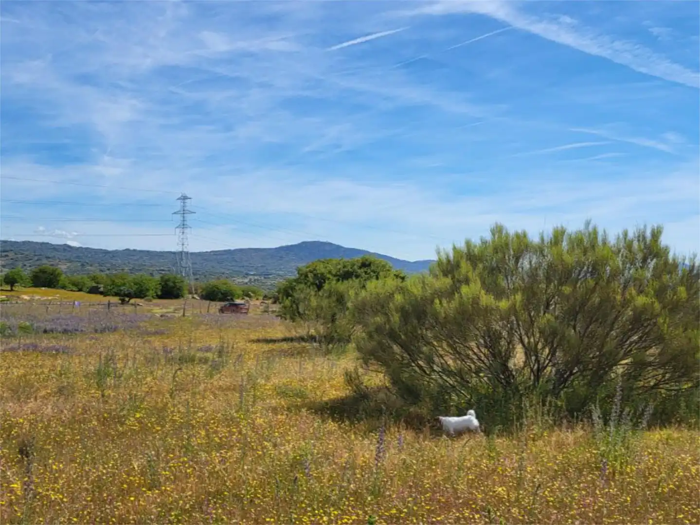 Country homes for sale in Calle Valdesanmartin, 15f, El Tiemblo Country homes for sale in El Tiemblo