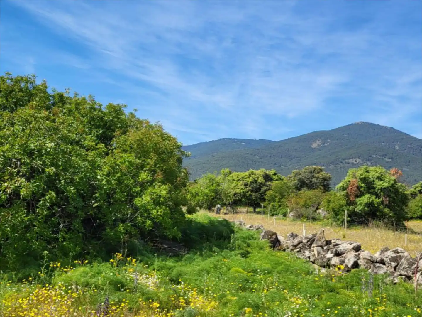 Country homes for sale in Calle Valdesanmartin, 15f, El Tiemblo Country homes for sale in El Tiemblo