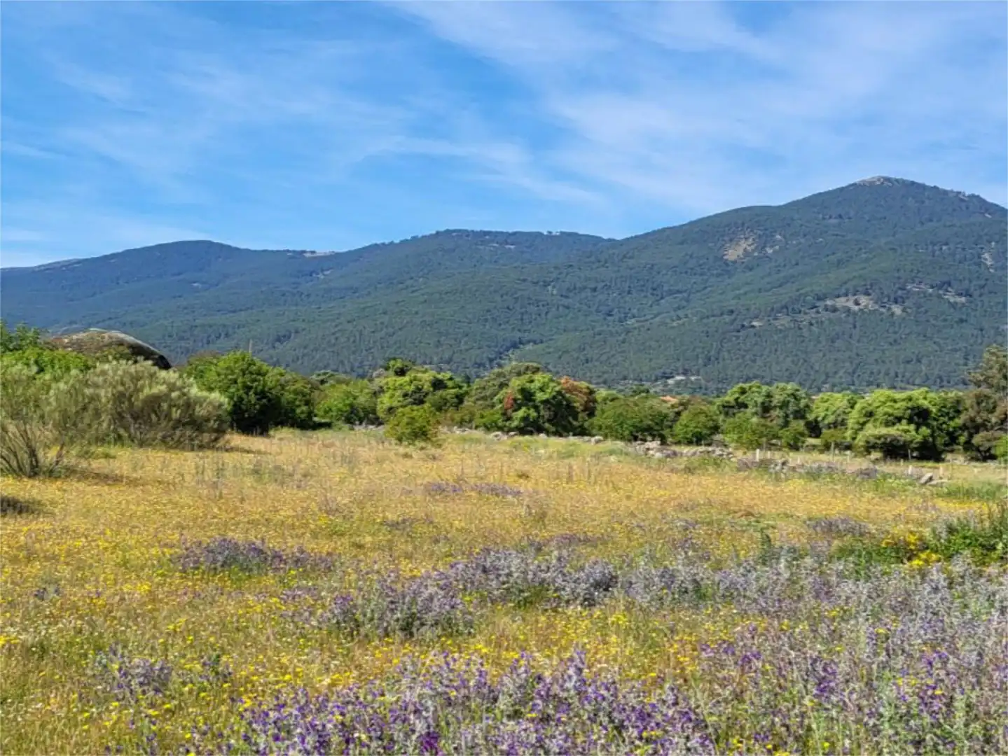 Country homes for sale in Calle Valdesanmartin, 15f, El Tiemblo Country homes for sale in El Tiemblo