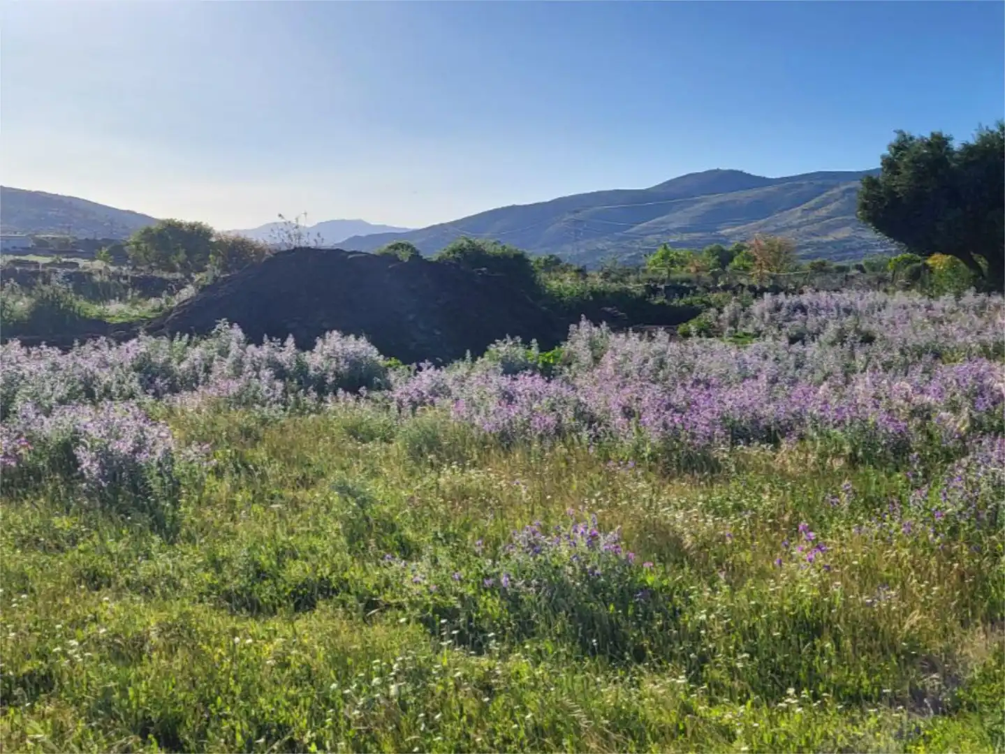 Country homes for sale in Calle Valdesanmartin, 15f, El Tiemblo Country homes for sale in El Tiemblo