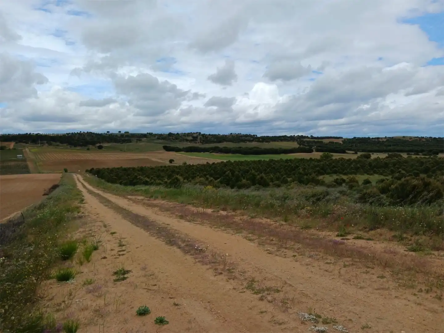 Terreno en venta en Calle Eras, 14, Valdefinjas Terreno en venta en Valdefinjas