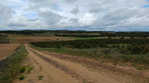 Terreno en venta en Calle Eras, 14, Valdefinjas, Zamora - imagen 2 Foto 2 de Terreno en venta en Calle Eras, 14, Valdefinjas, Zamora