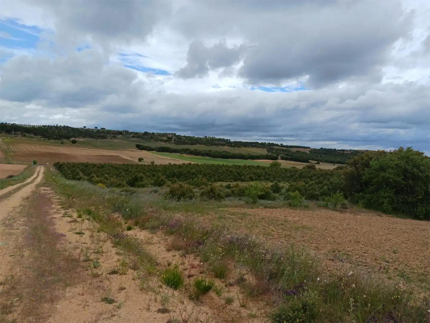 Terreno en venta en Calle Eras, 14, Valdefinjas Terreno en venta en Valdefinjas