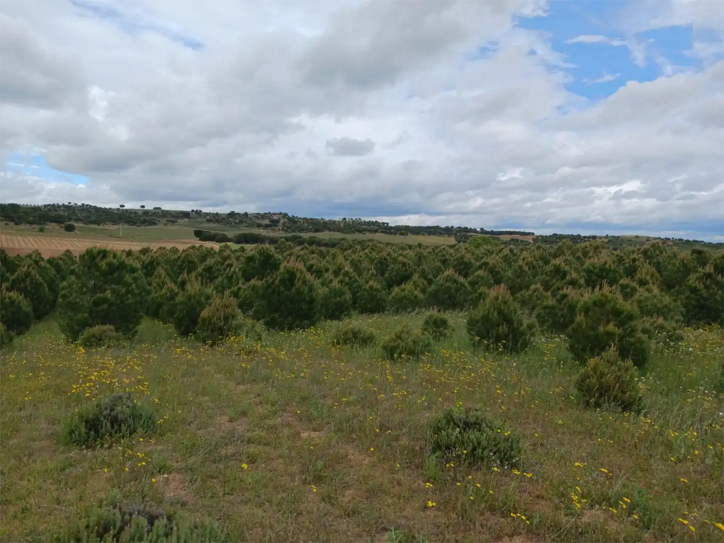 Terreno en venta en Calle Eras, 14, Valdefinjas Terreno en venta en Valdefinjas