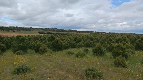 Terreno en venta en Calle Eras, 14, Valdefinjas, Zamora - imagen 3 Foto 3 de Terreno en venta en Calle Eras, 14, Valdefinjas, Zamora