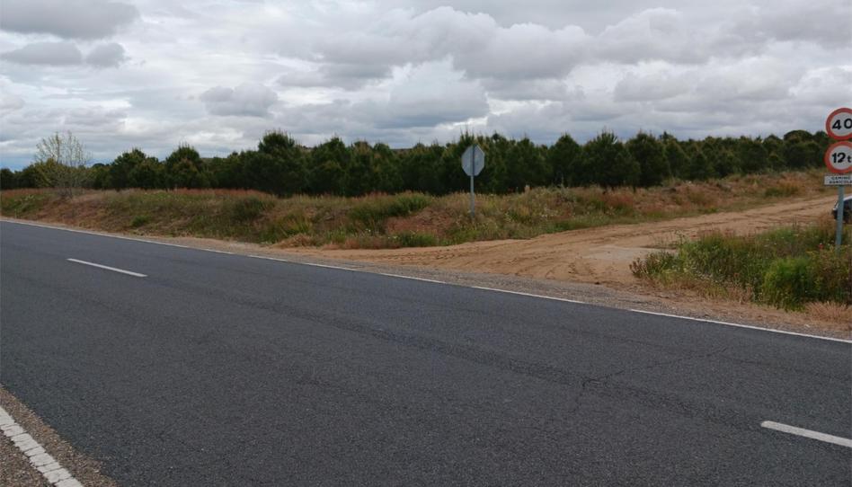 Terreno en venta en Calle Eras, 14, Valdefinjas, Zamora - imagen 1 Foto 1 de Terreno en venta en Calle Eras, 14, Valdefinjas, Zamora