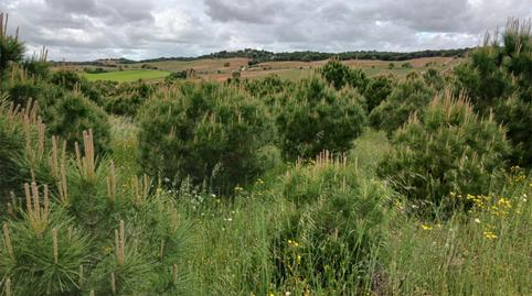 Terreno en venta en Calle Eras, 14, Valdefinjas, Zamora - imagen 4 Foto 4 de Terreno en venta en Calle Eras, 14, Valdefinjas, Zamora