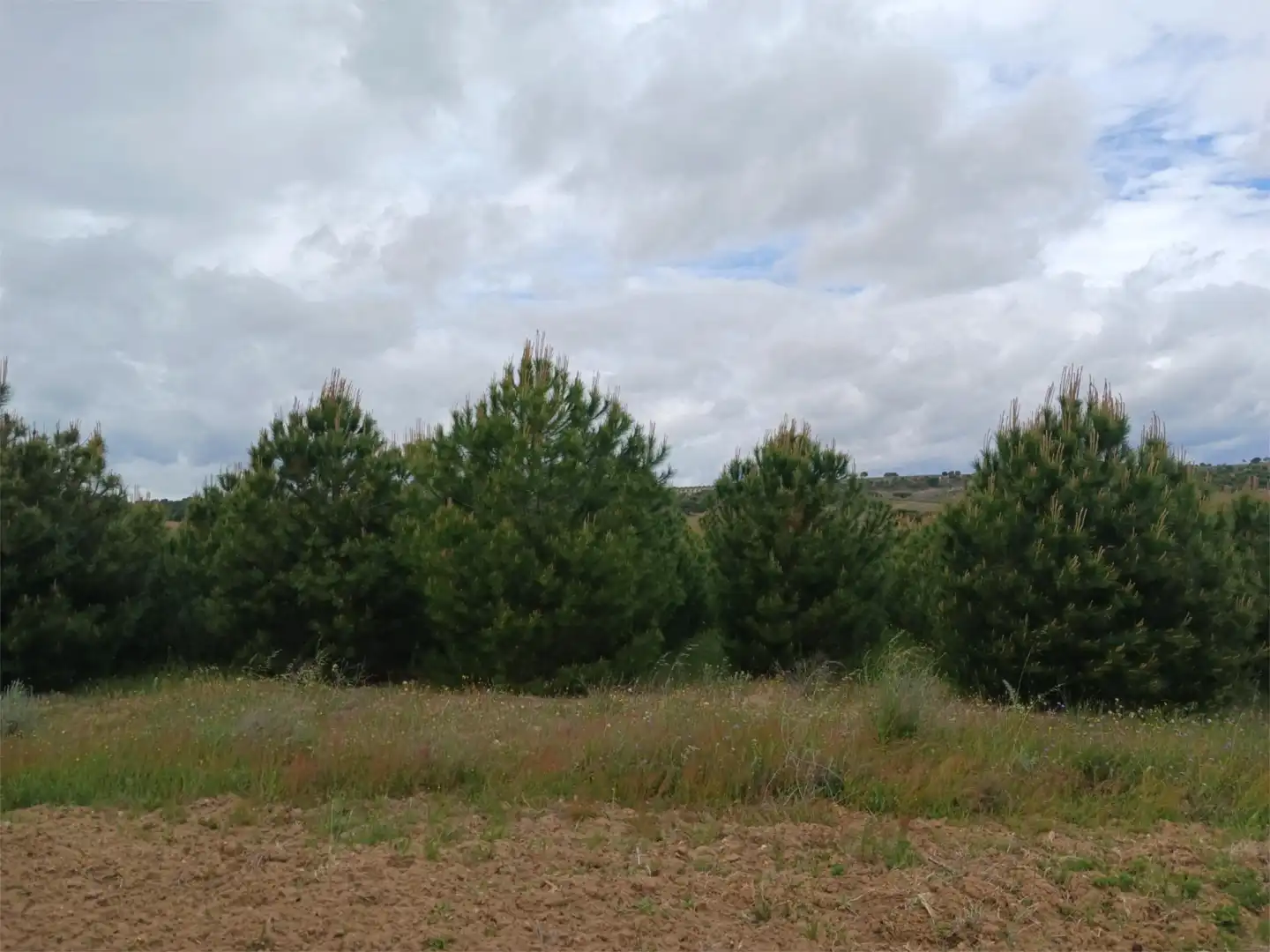 Terreno en venta en Calle Eras, 14, Valdefinjas Terreno en venta en Valdefinjas